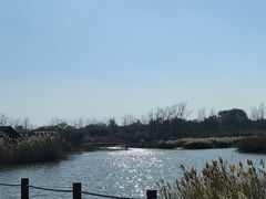 -盐城丹顶鹤湿地生态旅游区