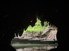 -怀托摩萤火虫洞