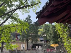 -千佛山风景名胜区-历山院