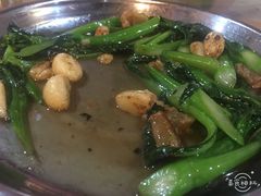 生炒菜心-禄源公·老莞诚饭店