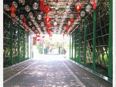 -光明小镇欢乐田园