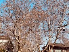 -胡雪岩故居