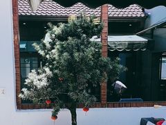 -芦茨金富饭庄·25年老字号·专做稻草鸡