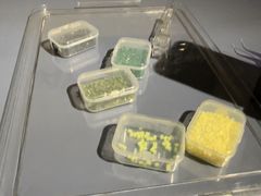 -好玩工厂密室·鹅鸭杀·桌游