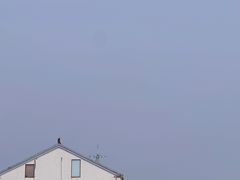 -树山生态村