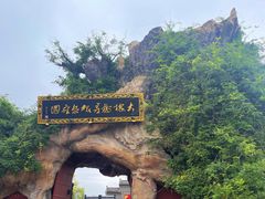 -大槐树寻根祭祖园