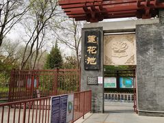 -莲花池公园