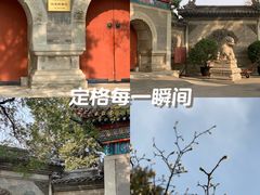 -白云观