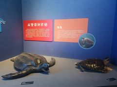 -浙江自然博物院(杭州馆)