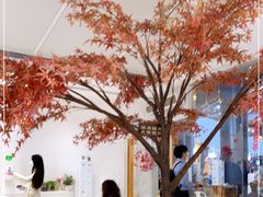 -艾薯夫妇Aysh(福田星河COCOPark店)