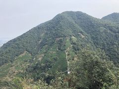 -午潮山国家森林公园