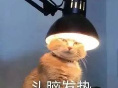-万盛园炖肉馆(云峰店)