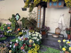 -杭州植物园