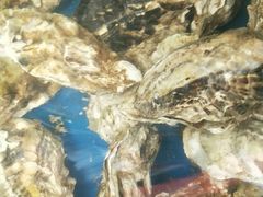 -晓伟海鲜家常菜