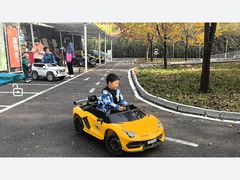 -西部长青自然儿童乐园