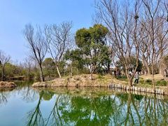 -西溪国家湿地公园