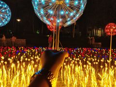 -怡海公园(桂城街道)