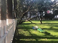 -西昌邛海宾馆