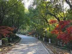 -南京市江宁方山