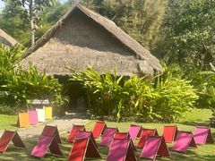 -大象粑粑造纸公园