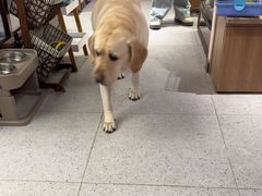 -FAELING PETS美天灵宠物(富力广场店)