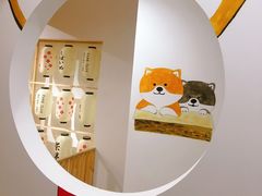 -柴迷FANS CLUB·柴犬狗咖·猫咖