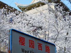 -武汉大学-樱园