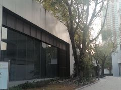 -T28PARK公园里