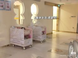 -致友月子会所(麓湖店)