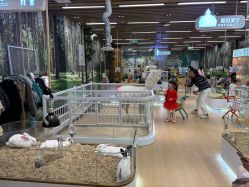 -小象动悟公园(龙湖亦庄天街店)