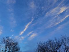 -ARTEASG啊T·新加坡奶茶(丹东万达店)