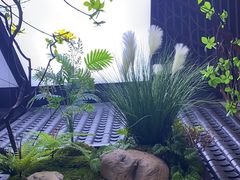 -小徽舟臭鳜鱼(雅清街店)