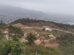 -大姆山草场