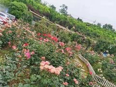 -玫瑰庄园·自助烧烤·烤全羊·团建拓展(龙泉山店)