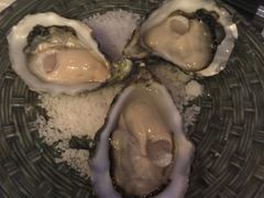 顶级精选生蚝-广州四季酒店·佰鲜汇·现代法餐