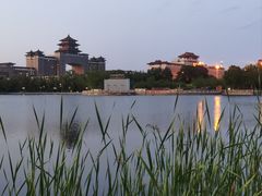 -莲花池公园