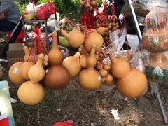 -正宗高流河饭店原创风姜鸡