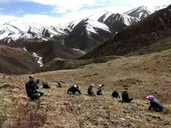 -青海湖国家重点风景名胜区