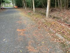 -上海海湾国家森林公园