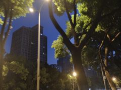 -月湖风景区
