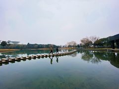 -上海佘山世茂艾美酒店