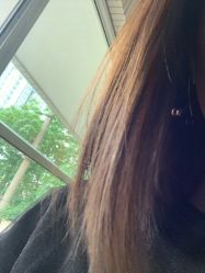 -镁连社·美联社