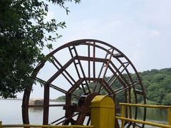 -鲁山国家森林公园