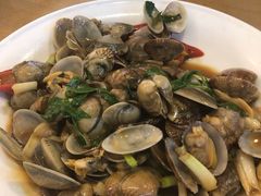 九层塔炒花蛤-台北楚楚园馅饼粥(虹桥南丰城店)