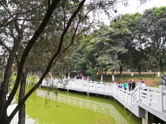 -东莞植物园