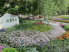 -海淀公园