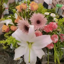 -大美母婴月子专护中心(紫峰店)