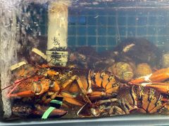 -船奇蒸汽海鲜·闽菜(八市海鲜总店)