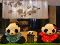 -成都保利公园皇冠假日酒店(熊猫基地店)