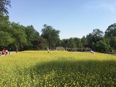 -北坞公园